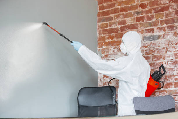 Best Comprehensive Air Testing for Mold Contaminants  in Fraser, CO
