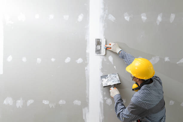Best Crawl Space Mold Remediation  in Fraser, CO