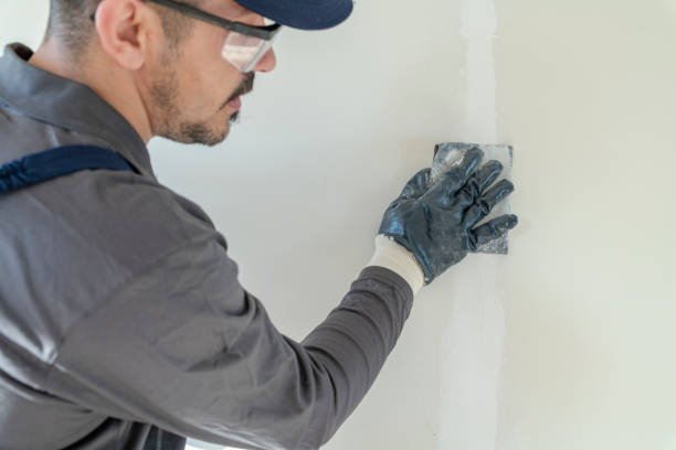 Best Environmental Consulting for Mold Prevention  in Fraser, CO