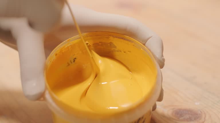 Reliable Fraser, CO Mold Removal Solutions