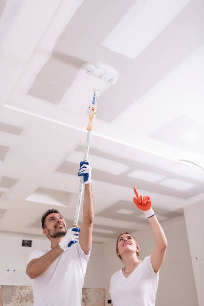 Best Mold Remediation for Healthcare Facilities  in Fraser, CO