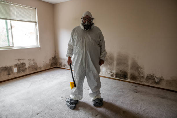 Best Industrial Mold Remediation  in Fraser, CO